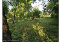 Lotes, Venta, Ricaurte - $500.000.000