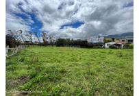 Lotes, Venta, La Calera - $295.000.000