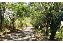 Lotes, Venta, Pance - $1.200.000.000