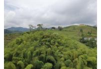 Apartamentos, Alquiler, Pereira - $900.000