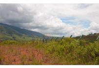 Lotes, Venta, Calima (Darién) - $1.600.000.000