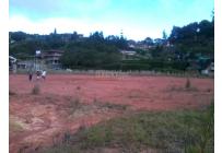 Lotes, Venta, Calima (Darién) - $1.600.000.000