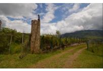 Lotes, Venta, Calima (Darién) - $1.600.000.000