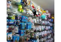 Venta Tienda de Artículos para Fiestas - Negocios Establecidos