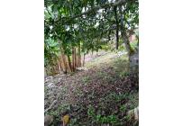 Fincas y Casas Campestres, Venta, Yumbo - $260.000.000