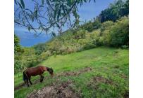 Fincas y Casas Campestres, Venta, Yumbo - $1.700.000.000