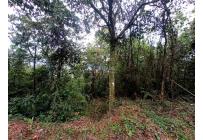 Lotes, Venta, Yumbo - $1.550.000.000