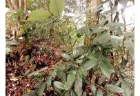 Lotes, Venta, Yumbo - $1.550.000.000