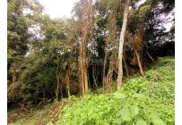 Lotes, Venta, Yumbo - $1.550.000.000