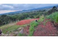 Lotes, Venta, Dagua - $250.000.000