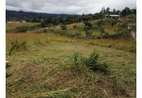 Lotes, Venta, Dagua - $250.000.000