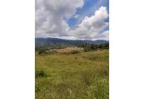 Lotes, Venta, Dagua - $250.000.000