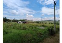 Lotes, Venta, Palmira - $944.000.000