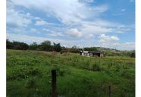 Lotes, Venta, Palmira - $944.000.000