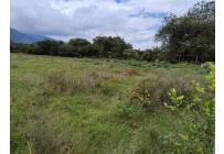 Lotes, Venta, Palmira - $944.000.000