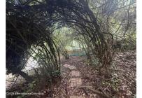 Casas, Alquiler, Chía - $3.000.000