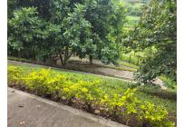 Apartamentos, Alquiler, Pereira - $3.900.000