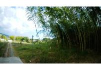 Lotes, Venta, Calima (Darién) - $140.000.000