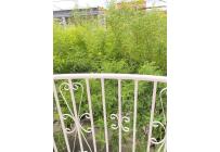 Casas, Venta, Ciudad del Campo - $180.000.000