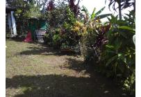 Fincas y Casas Campestres, Venta, La Elvira - $187.000.000