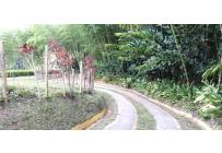 Casas, Venta, Calima (Darién) - $850.000.000