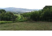 Casas, Venta, Calima (Darién) - $850.000.000