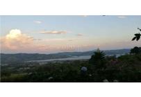 Casas, Venta, Calima (Darién) - $850.000.000