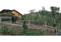 Casas, Venta, Calima (Darién) - $850.000.000