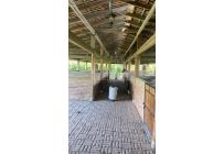 Casas, Venta, Palmira - $2.800.000.000