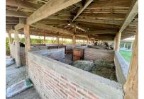 Casas, Venta, Palmira - $2.800.000.000