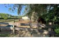 Casas, Venta, Palmira - $2.800.000.000