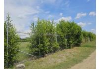 Lotes, Venta, Palmira - $1.152.000.000