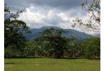 Lotes, Venta, Pance - $4.100.000.000