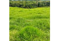 Fincas y Casas Campestres, Venta, Villavicencio - $2.160.000.000