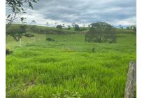 Fincas y Casas Campestres, Venta, Villavicencio - $2.160.000.000