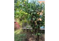 Apartamentos, Venta, El Refugio - $270.000.000