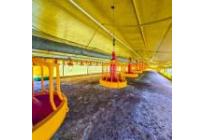 Fincas y Casas Campestres, Venta, Santander de Quilichao - $1.200.000.000