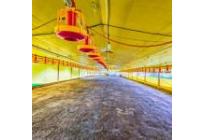 Fincas y Casas Campestres, Venta, Santander de Quilichao - $1.200.000.000