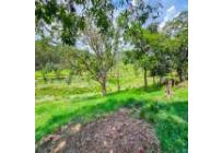 Fincas y Casas Campestres, Venta, Santander de Quilichao - $1.200.000.000