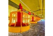 Fincas y Casas Campestres, Venta, Santander de Quilichao - $1.200.000.000