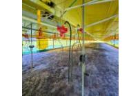 Fincas y Casas Campestres, Venta, Santander de Quilichao - $1.200.000.000