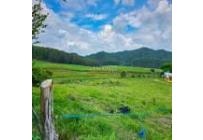 Fincas y Casas Campestres, Venta, Santander de Quilichao - $1.200.000.000