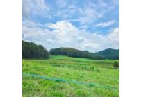 Fincas y Casas Campestres, Venta, Santander de Quilichao - $1.200.000.000