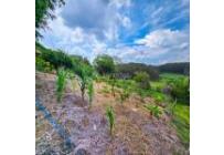 Fincas y Casas Campestres, Venta, Santander de Quilichao - $1.200.000.000