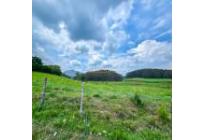 Fincas y Casas Campestres, Venta, Santander de Quilichao - $1.200.000.000