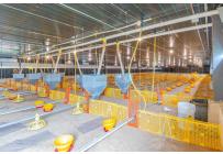 Fincas y Casas Campestres, Venta, Santander de Quilichao - $4.500.000.000