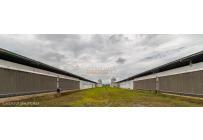 Fincas y Casas Campestres, Venta, Santander de Quilichao - $4.500.000.000