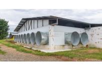 Fincas y Casas Campestres, Venta, Santander de Quilichao - $4.500.000.000