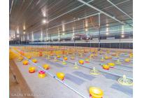 Fincas y Casas Campestres, Venta, Santander de Quilichao - $4.500.000.000