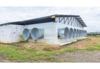 Fincas y Casas Campestres, Venta, Santander de Quilichao - $4.500.000.000